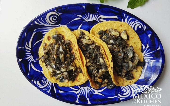 Huitlacoche玉米饼墨西哥玉米木耳